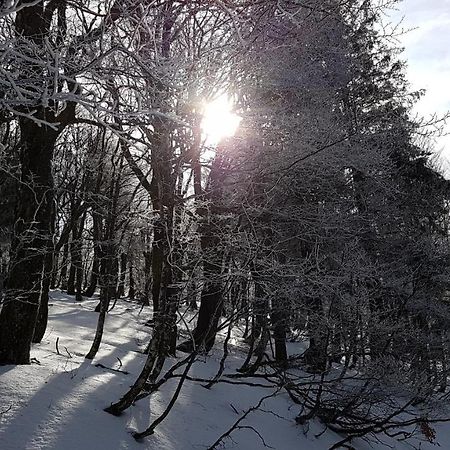 L'Ideal Gérardmer Exteriér fotografie